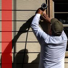 Best Custom Trim and Detailing for Siding  in Colfax, IL